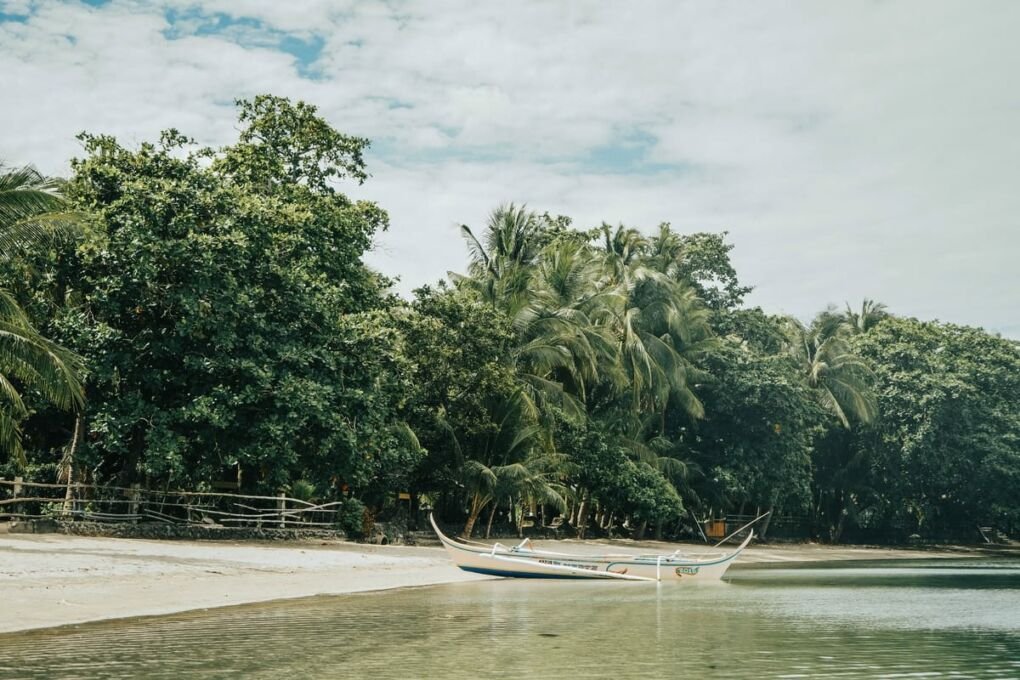White boat on seashore near trees in Batangas