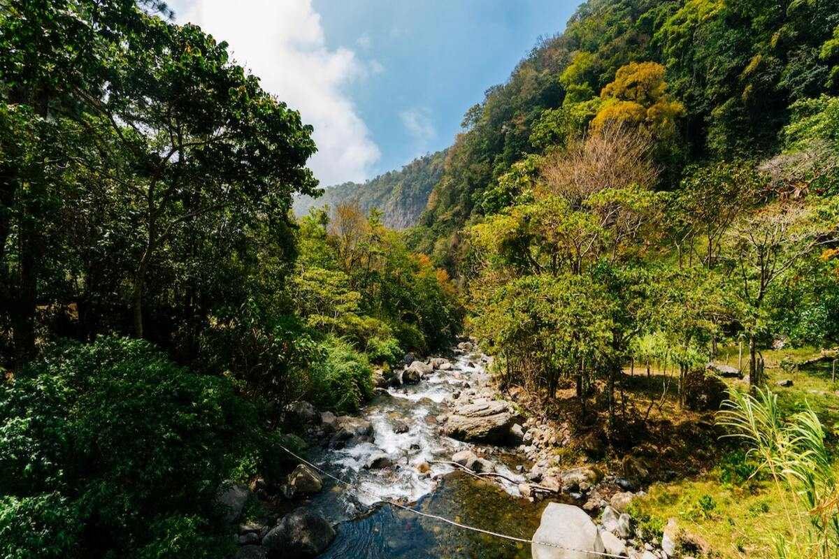 Rainforest-in-Panama