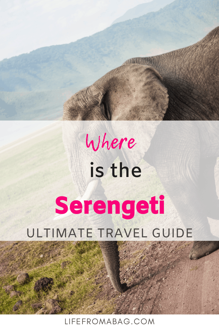 Where is the Serengeti