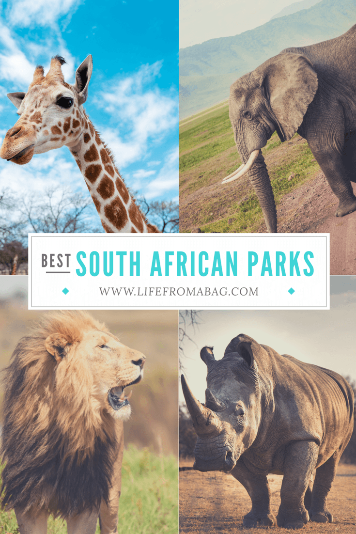 Best National Parks in South Africa 