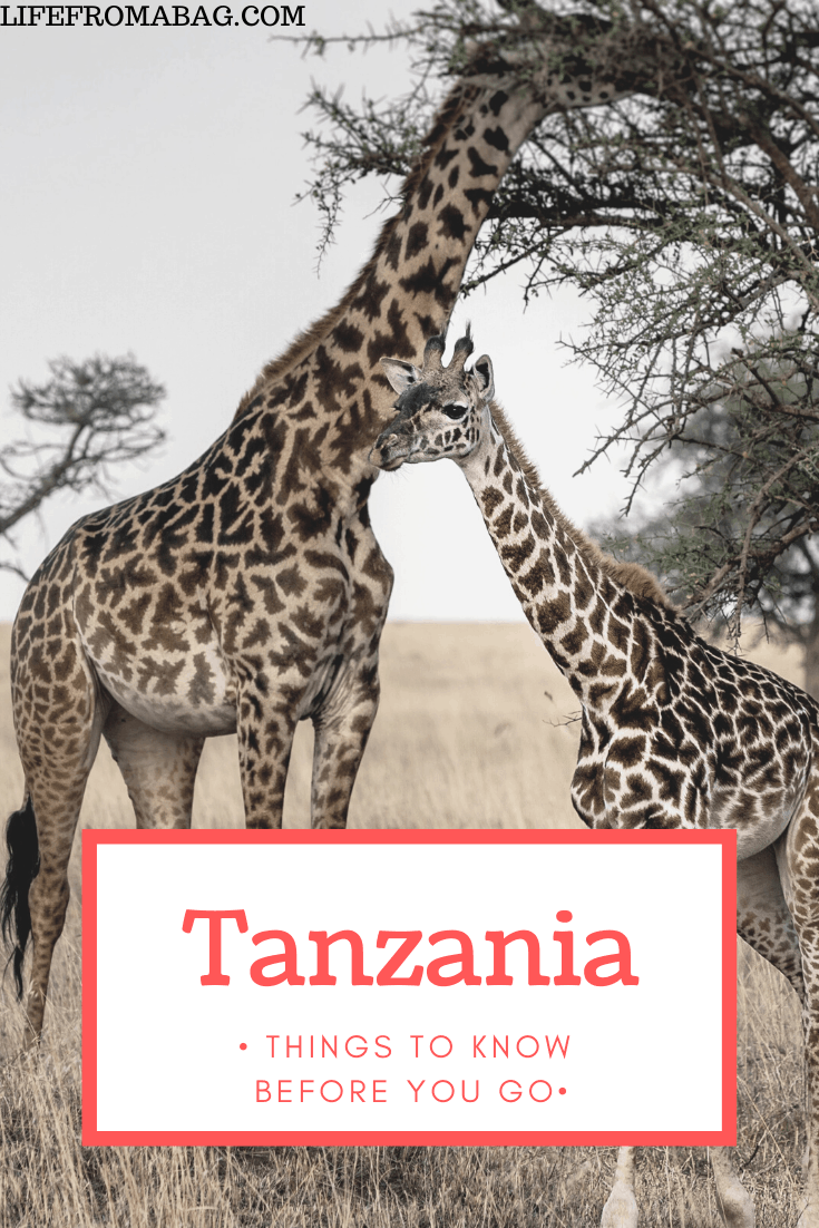 visiting Tanzania for the first time