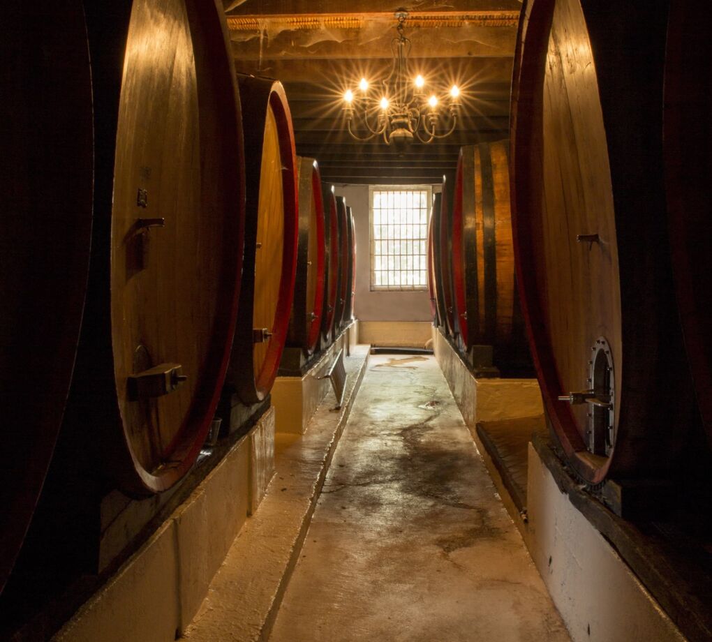 best wine farms stellenbosch