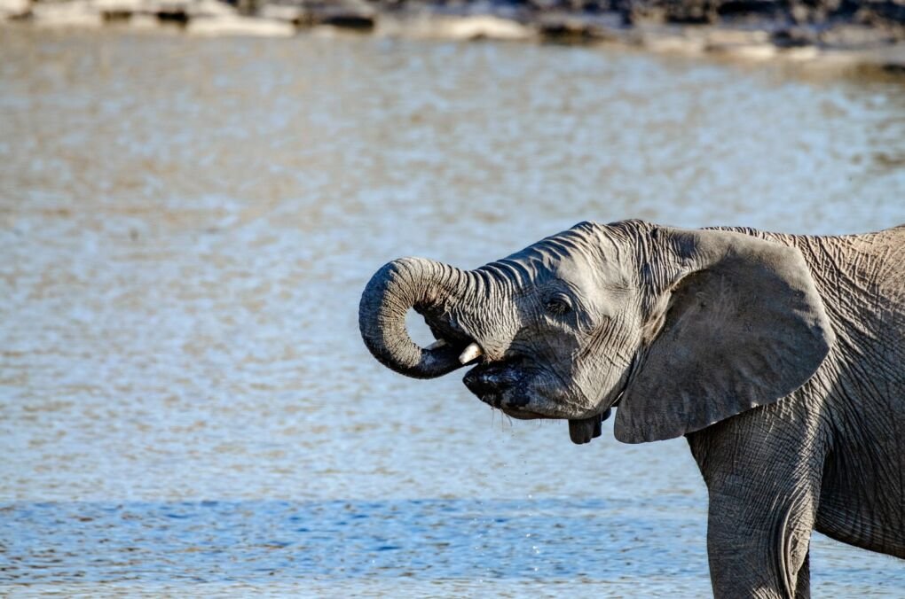 Best African National Park