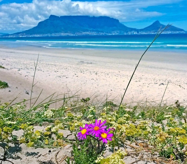 Table-mountain-view-beach