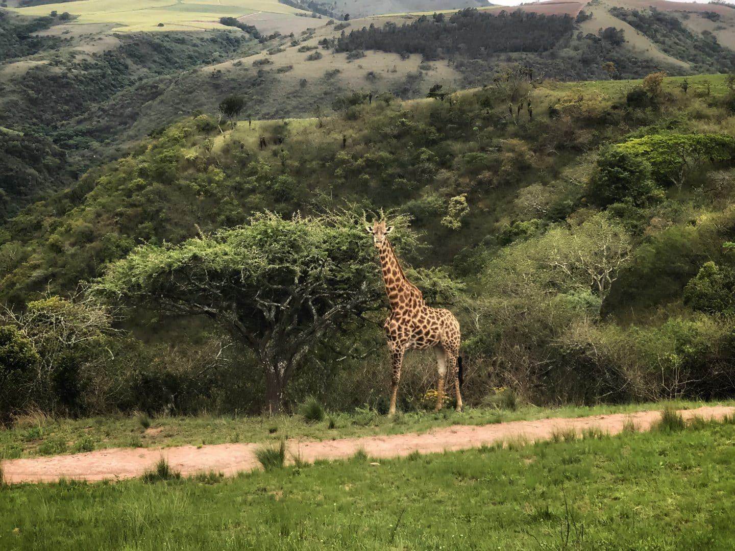 Game Reserves in South Africa