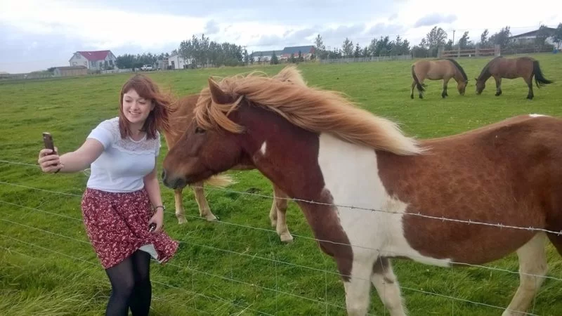 Horse Selfie