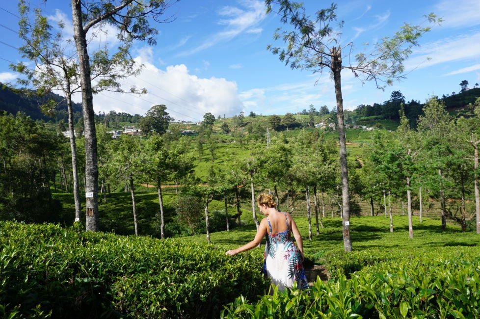 Women waliking in fields