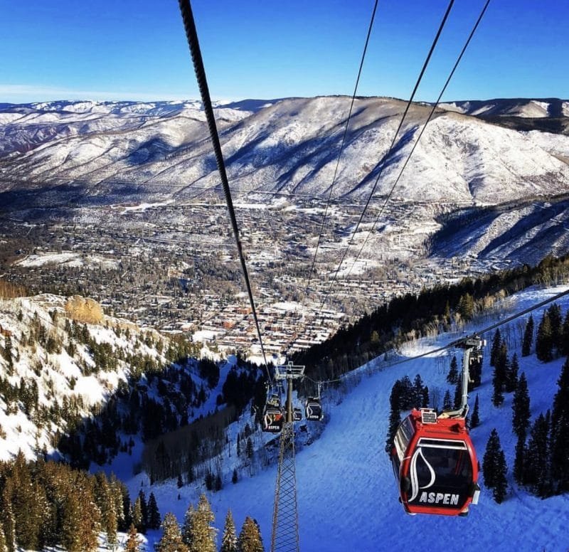 Aspen in Winter 