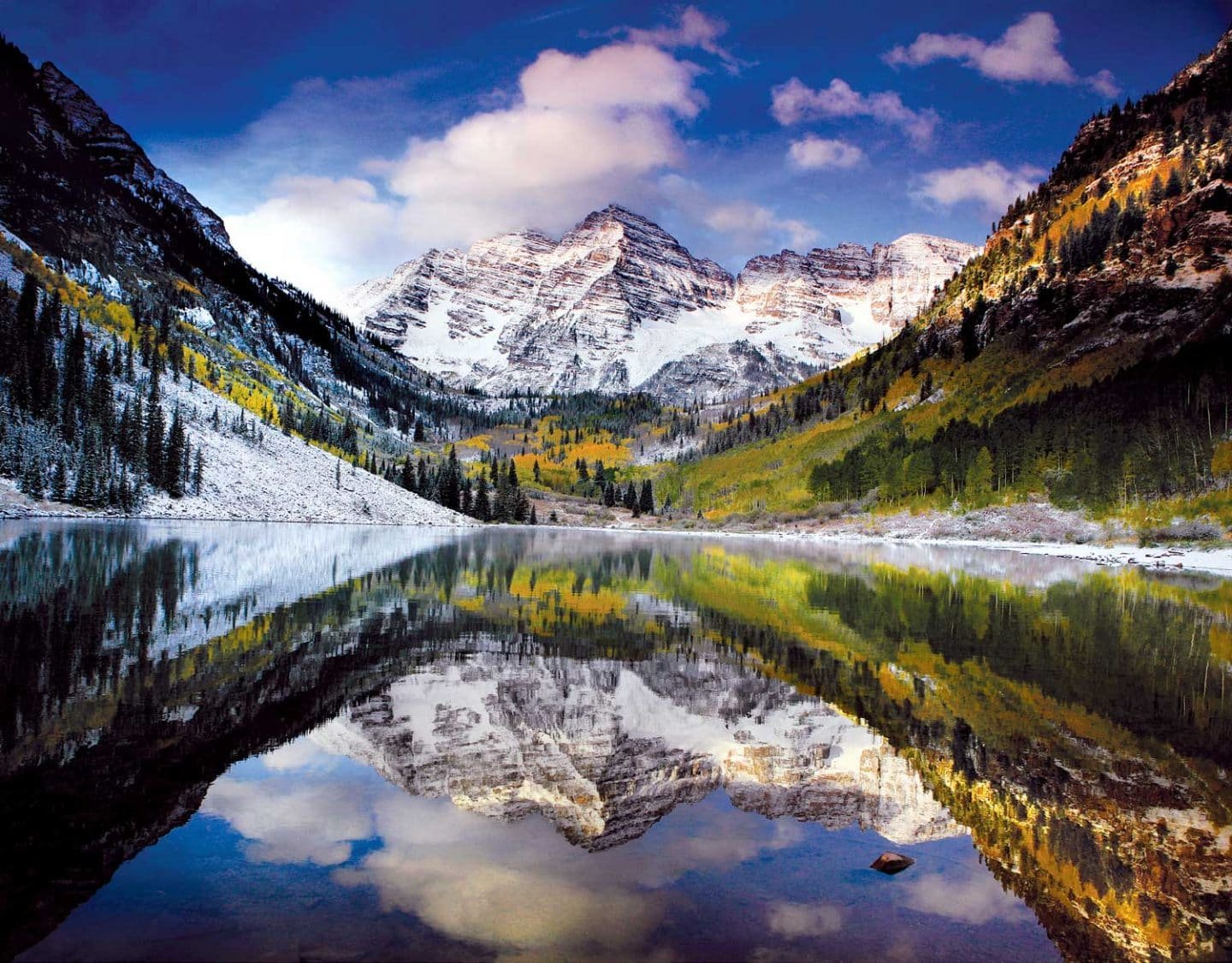 Aspen in Winter 