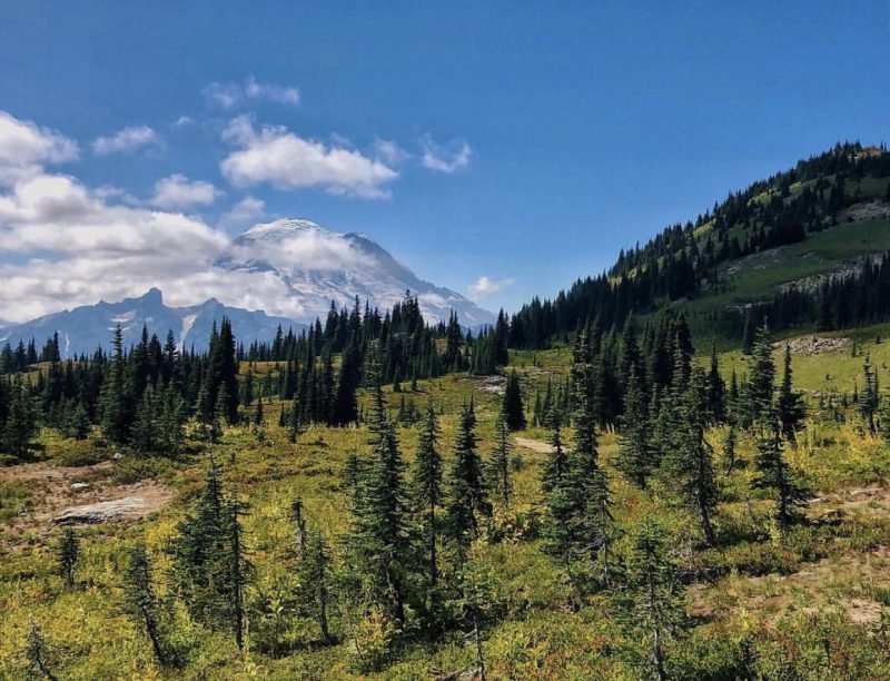 Mt. Rainer, Washington