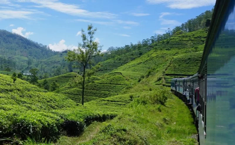 nuwara eliya train