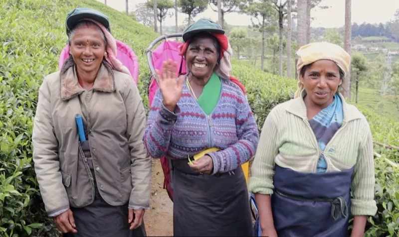 tea workers Sri Lanka