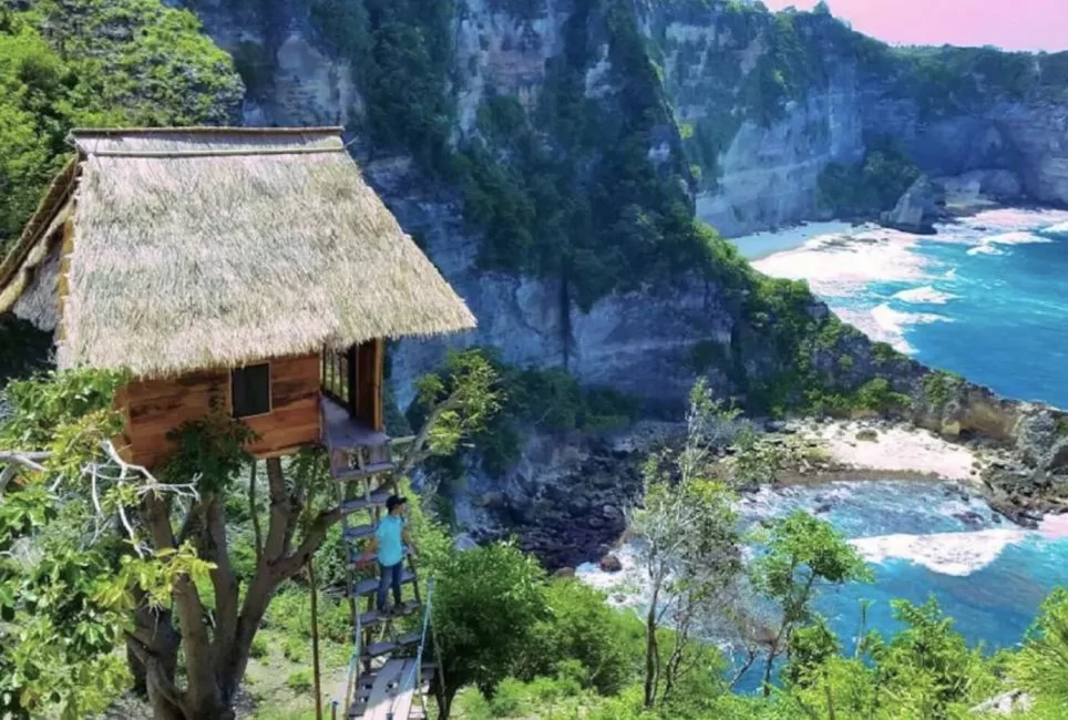famous-nusa-penida-treehouse-airbnb
