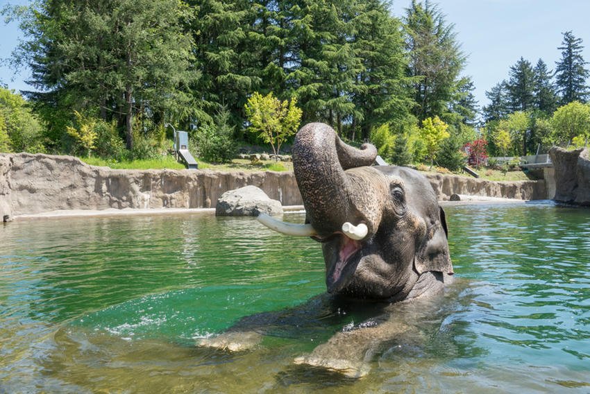 Oregon Zoo, Portland