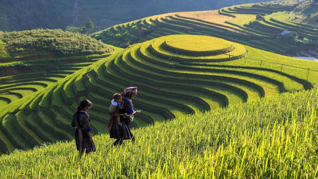 Vietnam Places to see