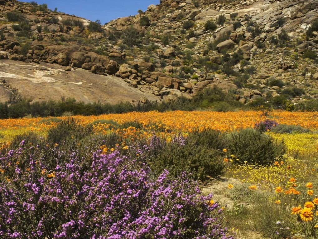 Namaqua National Park