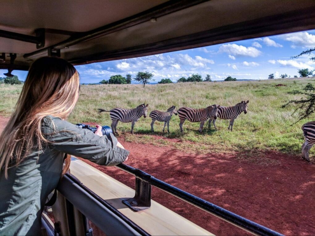 Best African Safari Experience
