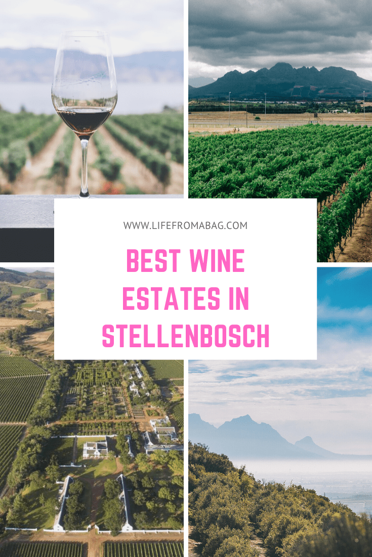 best wineries in stellenbosch