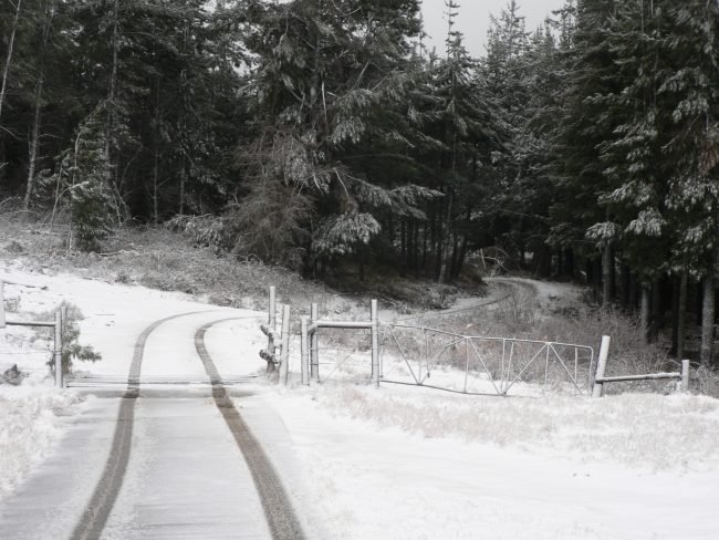 Hogsback in Winter