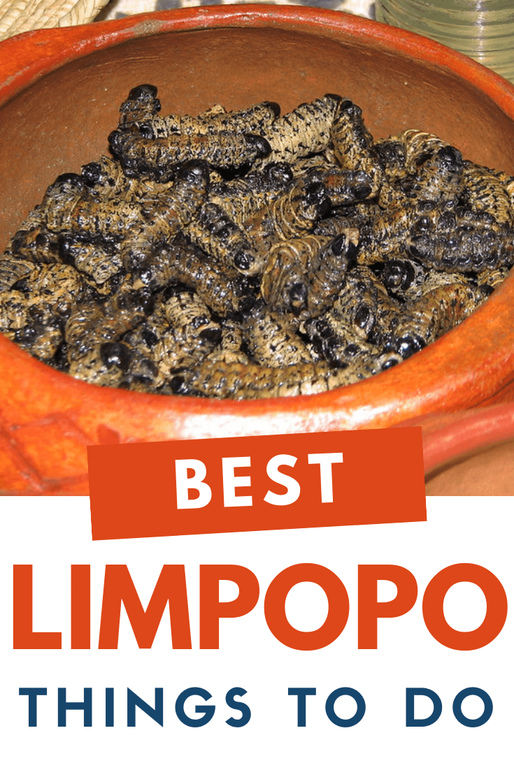 Things to do in Limpopo