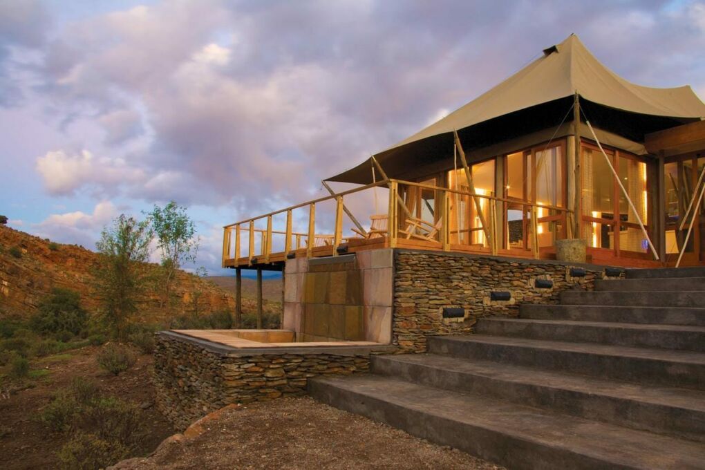 Best Game Reserves Near Cape Town