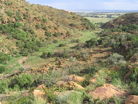 Hiking Trails in Johannesburg