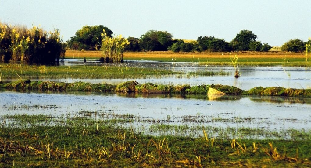 Wetlands in Africa