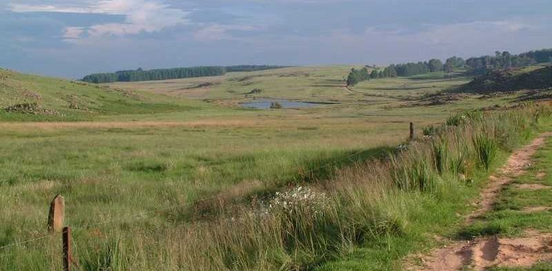 Wetlands in South Africa