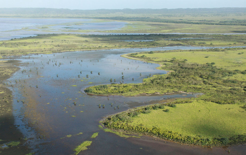 Wetlands in South Africa