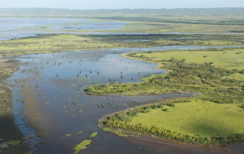 Wetlands in South Africa