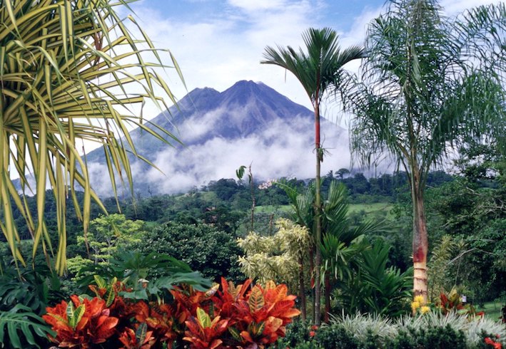 Volcan Arenal forest