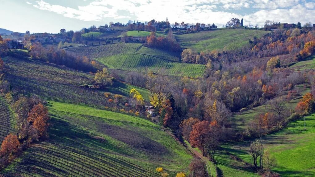 Green landscape of Parma