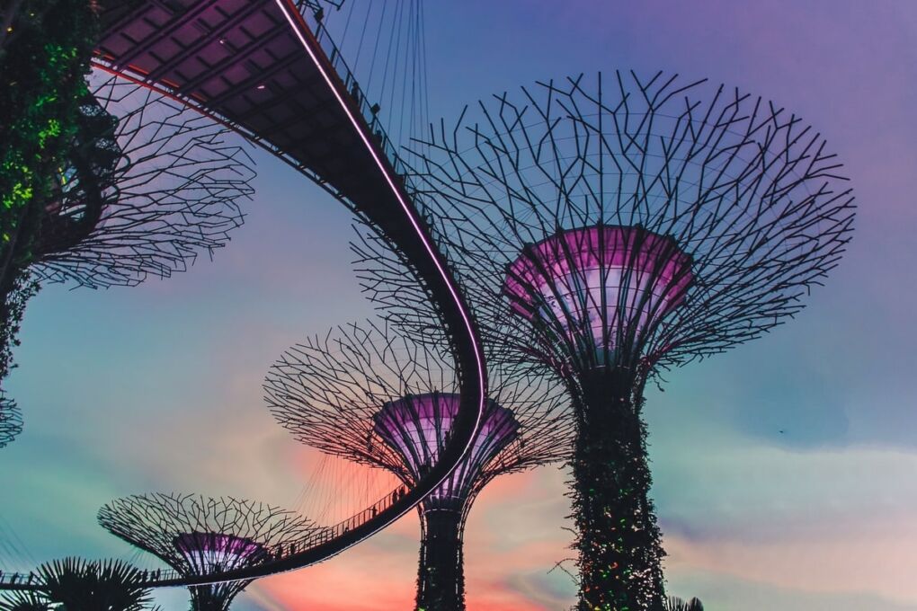 Gardens by the Bay, a famous attraction in Singapore.