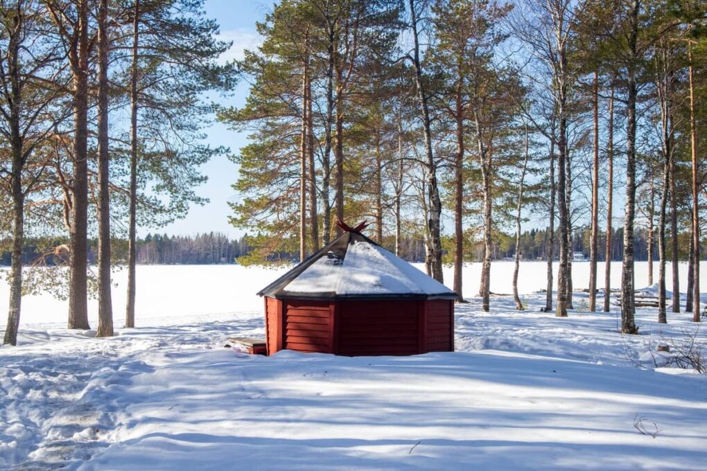 Reddish brown wooden house surrounded by snow and and thin trees in Umeå City, Sweden
