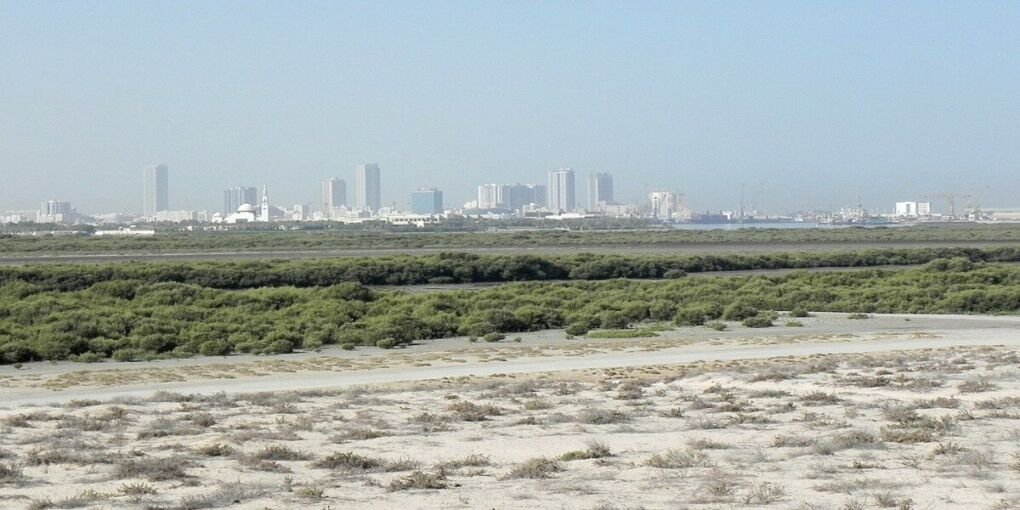 Mangroves Skyline Umm AL Quwain