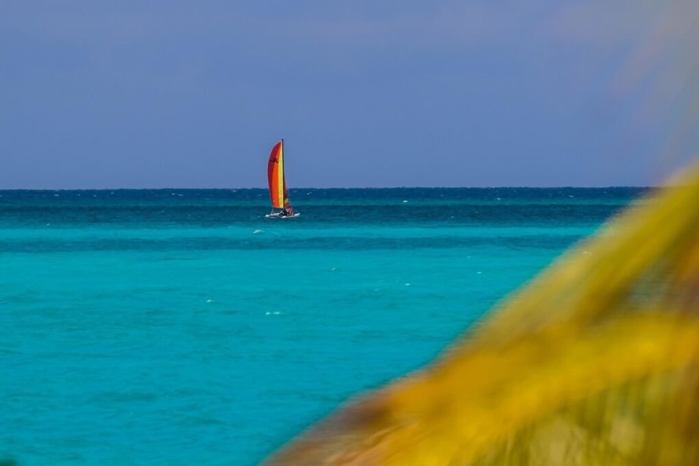 Sail boat in the ocean 