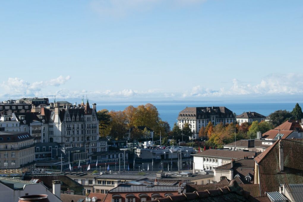 View from Lausanne Cathedral 