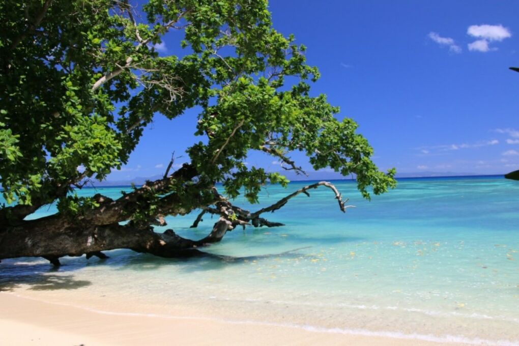 Beach-on-taveuni-Island