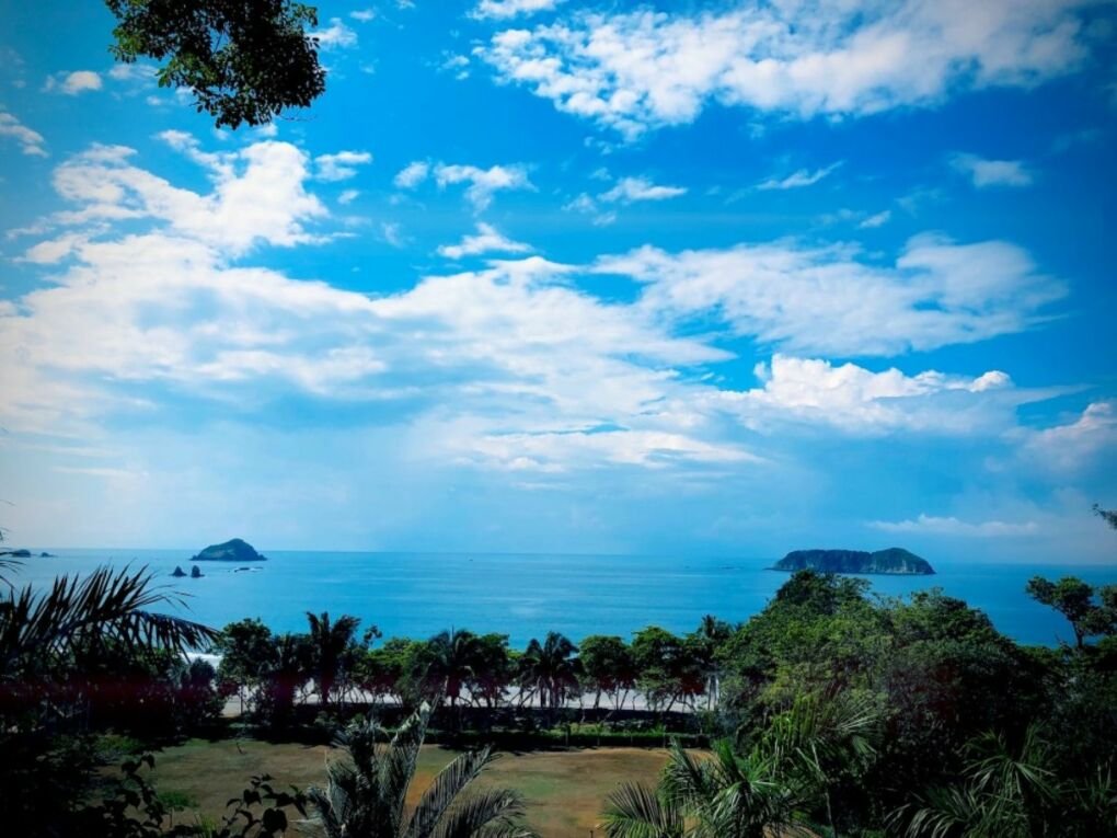 Quepos Beach and palm trees