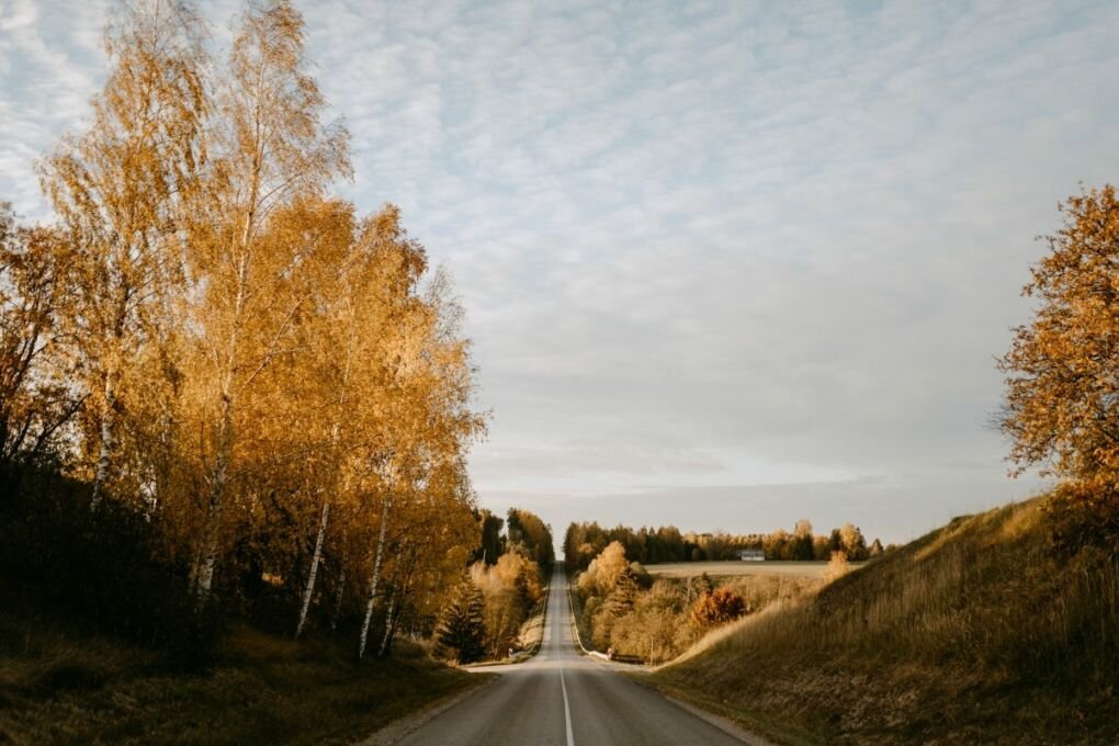 View of a road in Sabile during autumn