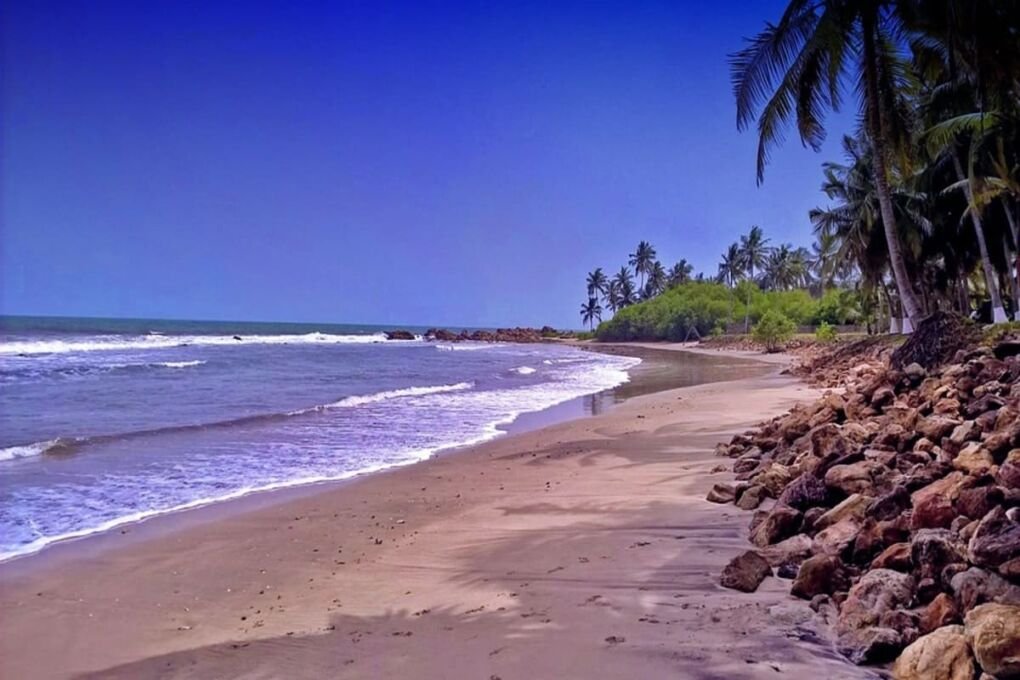 Sandy-beach-palm-trees-rocks