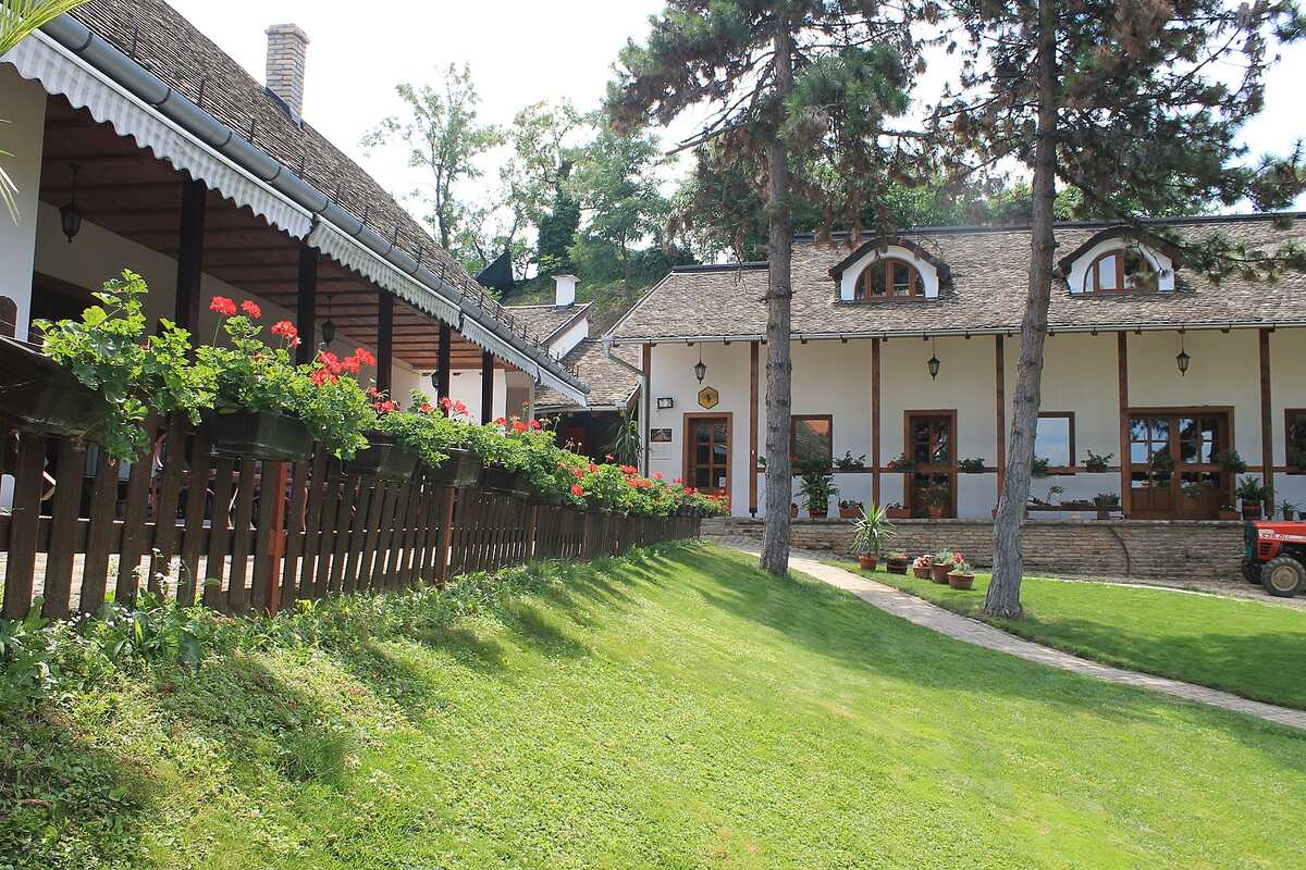 A cottage in Sremski Karlovci 