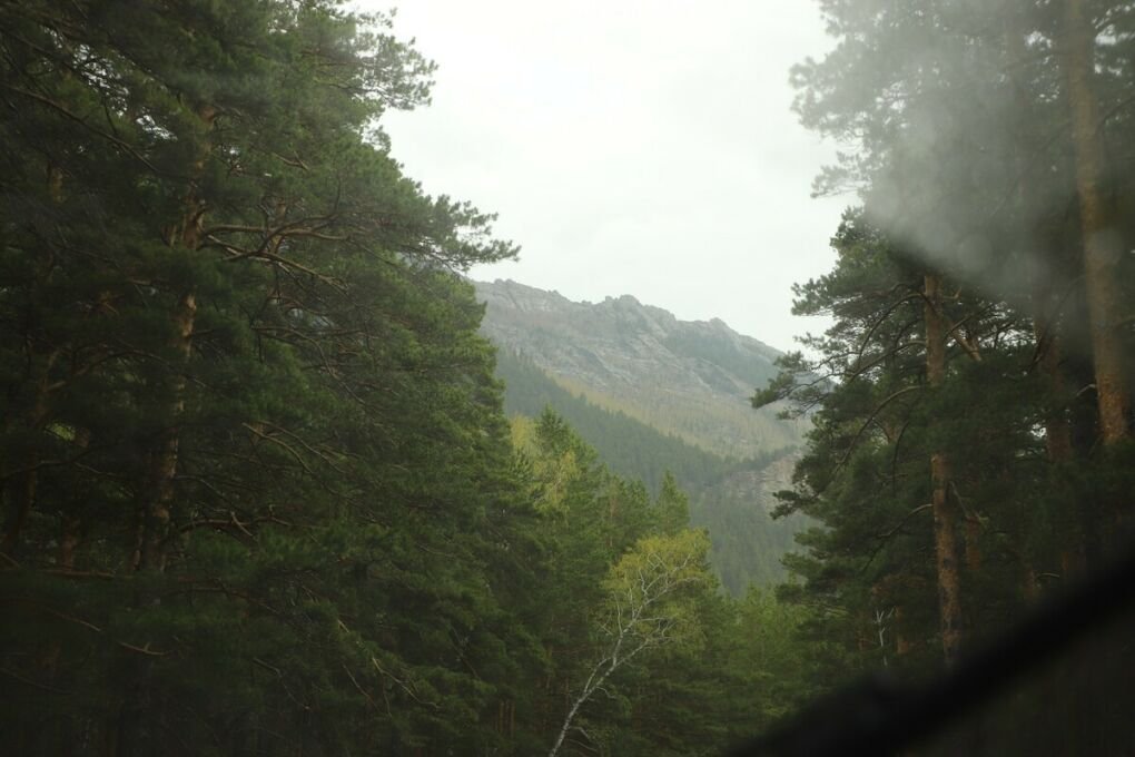 Forest nearby Kokshetau with mountain range in background