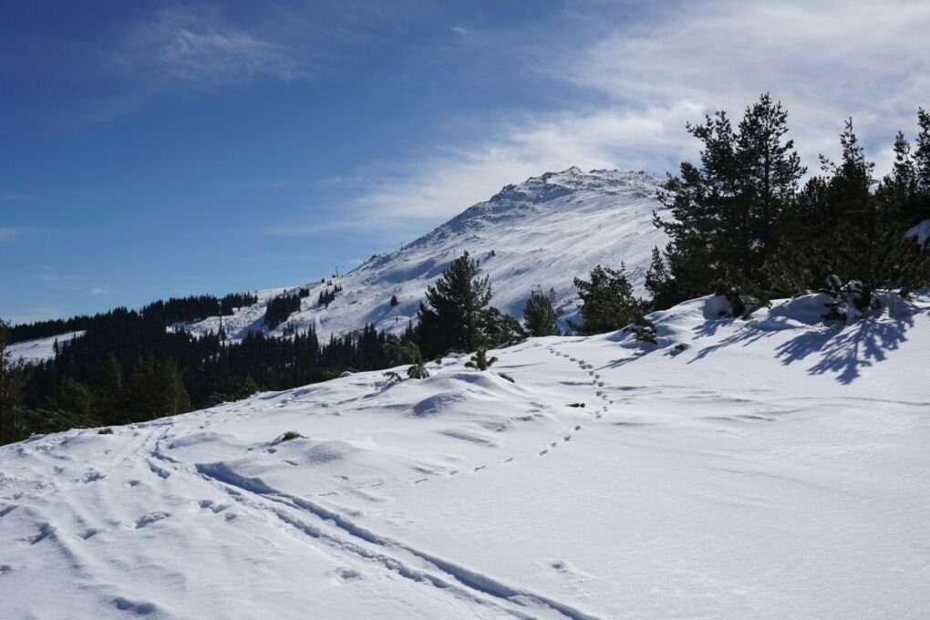 Landscape view of the Vitosha Mountains in Bulgaria covered in snow