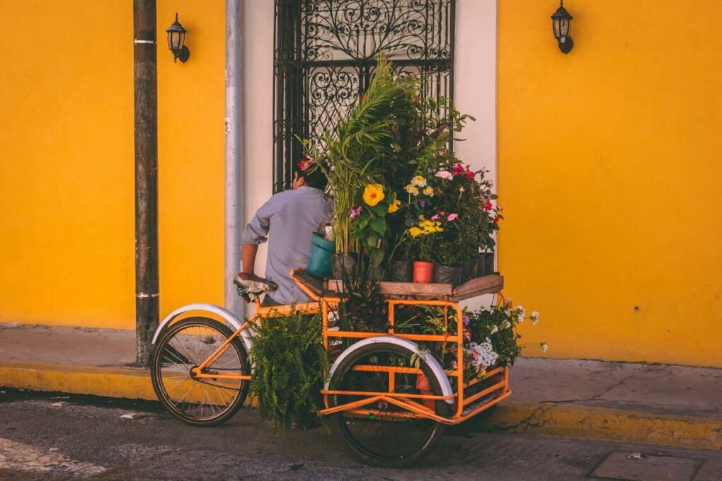 A local man selling colourful flowers and plants from his cart. 