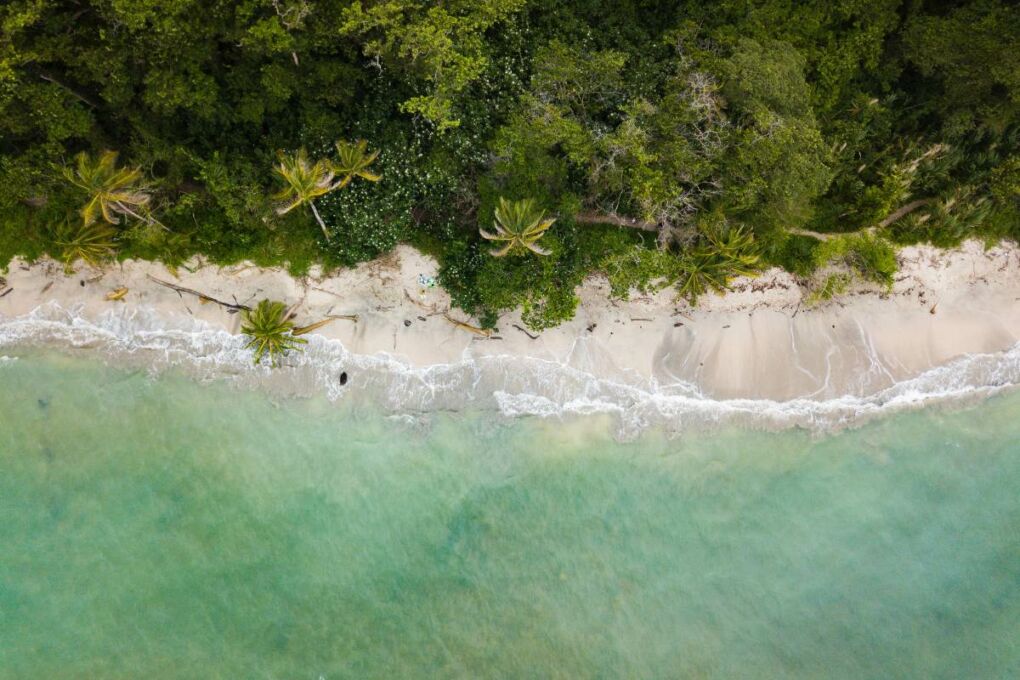 dense jungles, white sand and blue water 