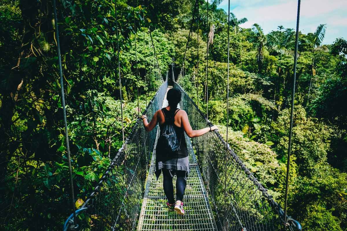 Lady walking on a swinging bridge through the treetops. 