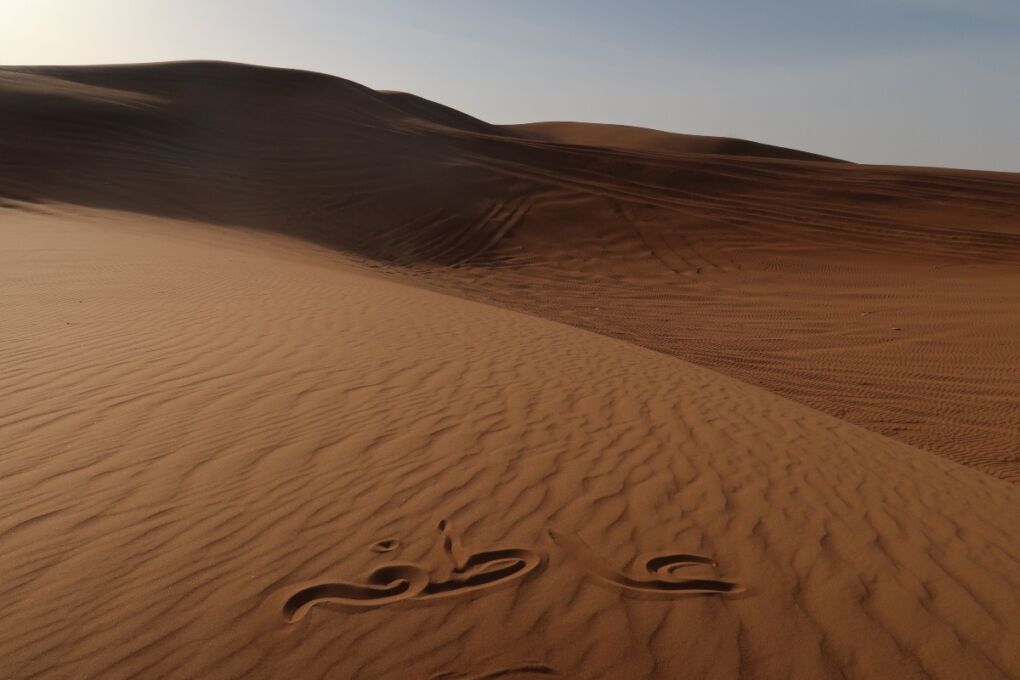 Dubai-Desert-sand