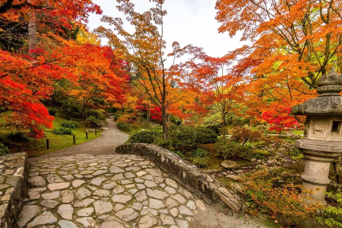 A stone bridge in the Seattle Japanese gardens during the fall season. 