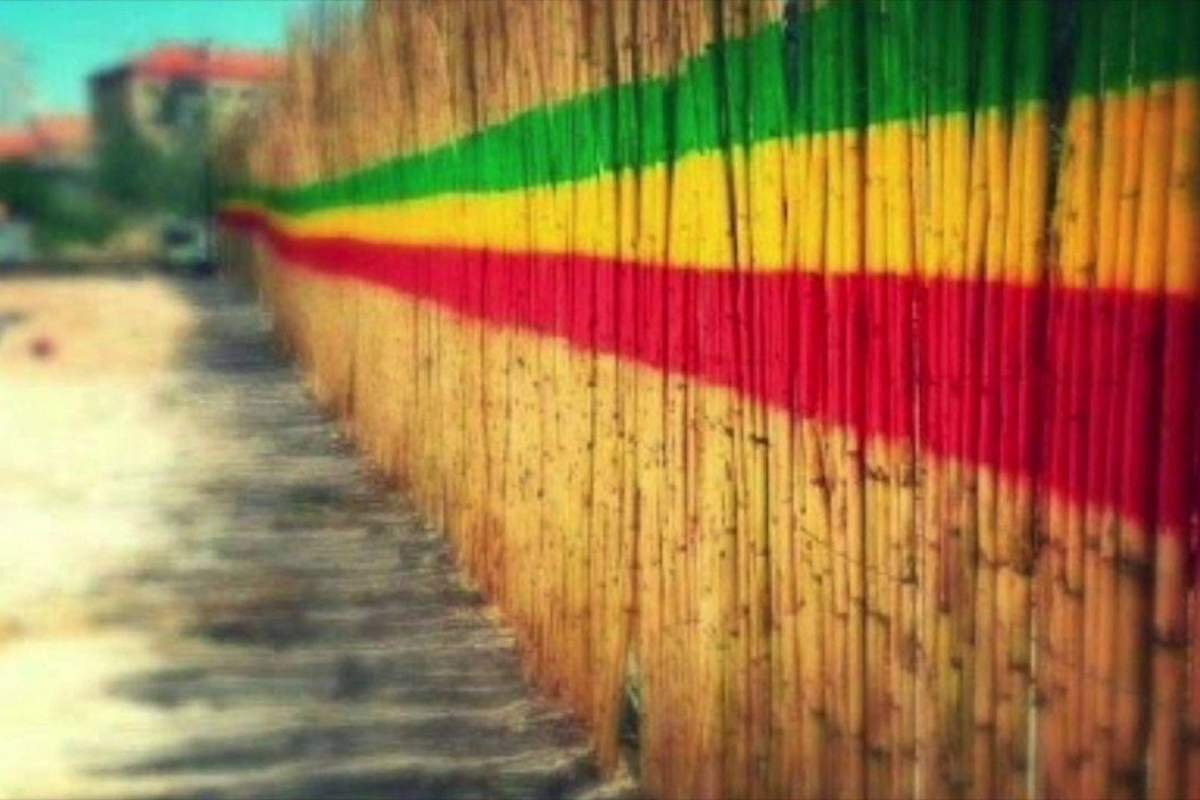 Bamboo fence with the Rastafarian colors on it.